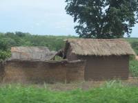 Habitats traditionnel du nord Cameroun: cliquer pour aggrandir